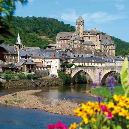 T 2 Dans Village Vacances 3 *** A Saint Geniez 2 Piscines Chauffee Pierrefiche  외부 사진