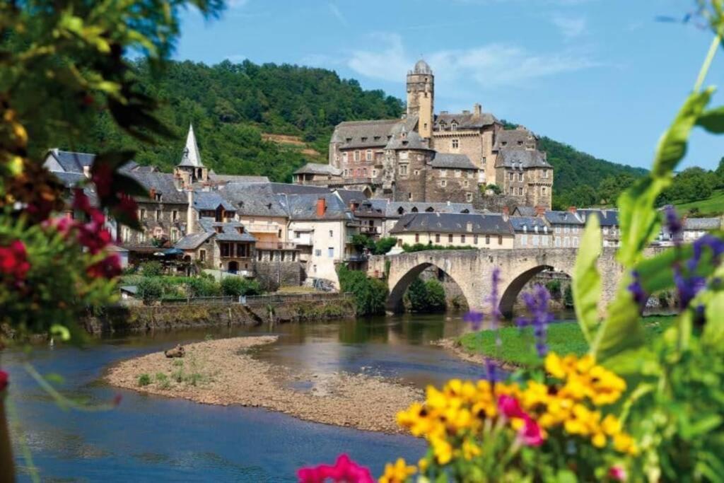 T 2 Dans Village Vacances 3 *** A Saint Geniez 2 Piscines Chauffee Pierrefiche  외부 사진