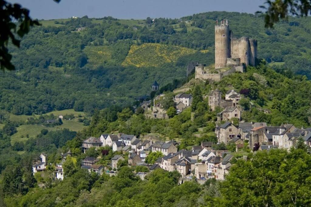 T 2 Dans Village Vacances 3 *** A Saint Geniez 2 Piscines Chauffee Pierrefiche  외부 사진