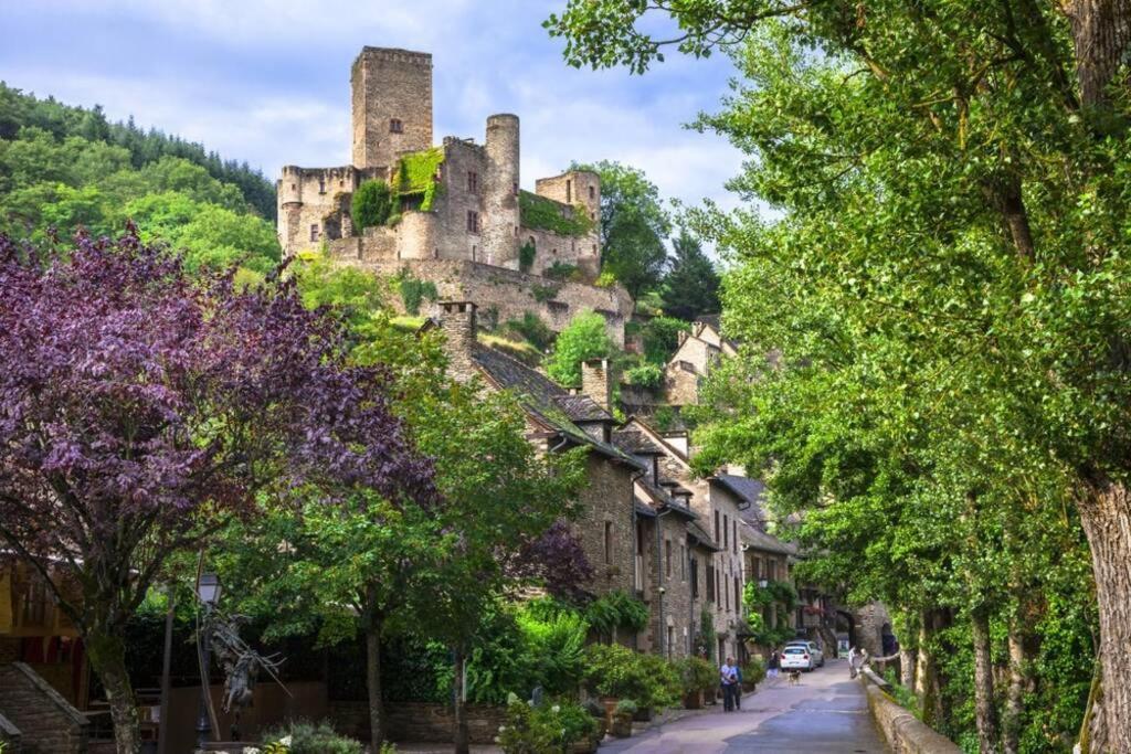 T 2 Dans Village Vacances 3 *** A Saint Geniez 2 Piscines Chauffee Pierrefiche  외부 사진